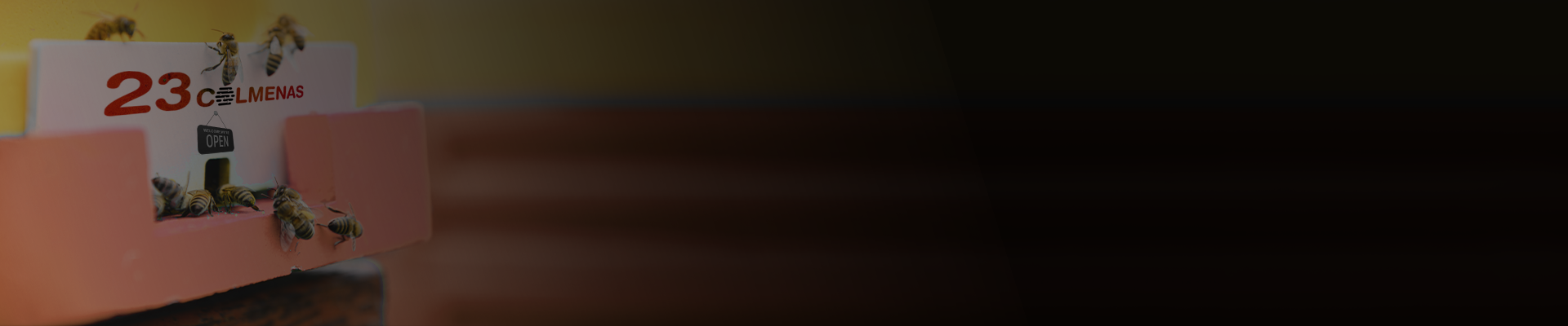 cabecera-tienda-23-colmenas