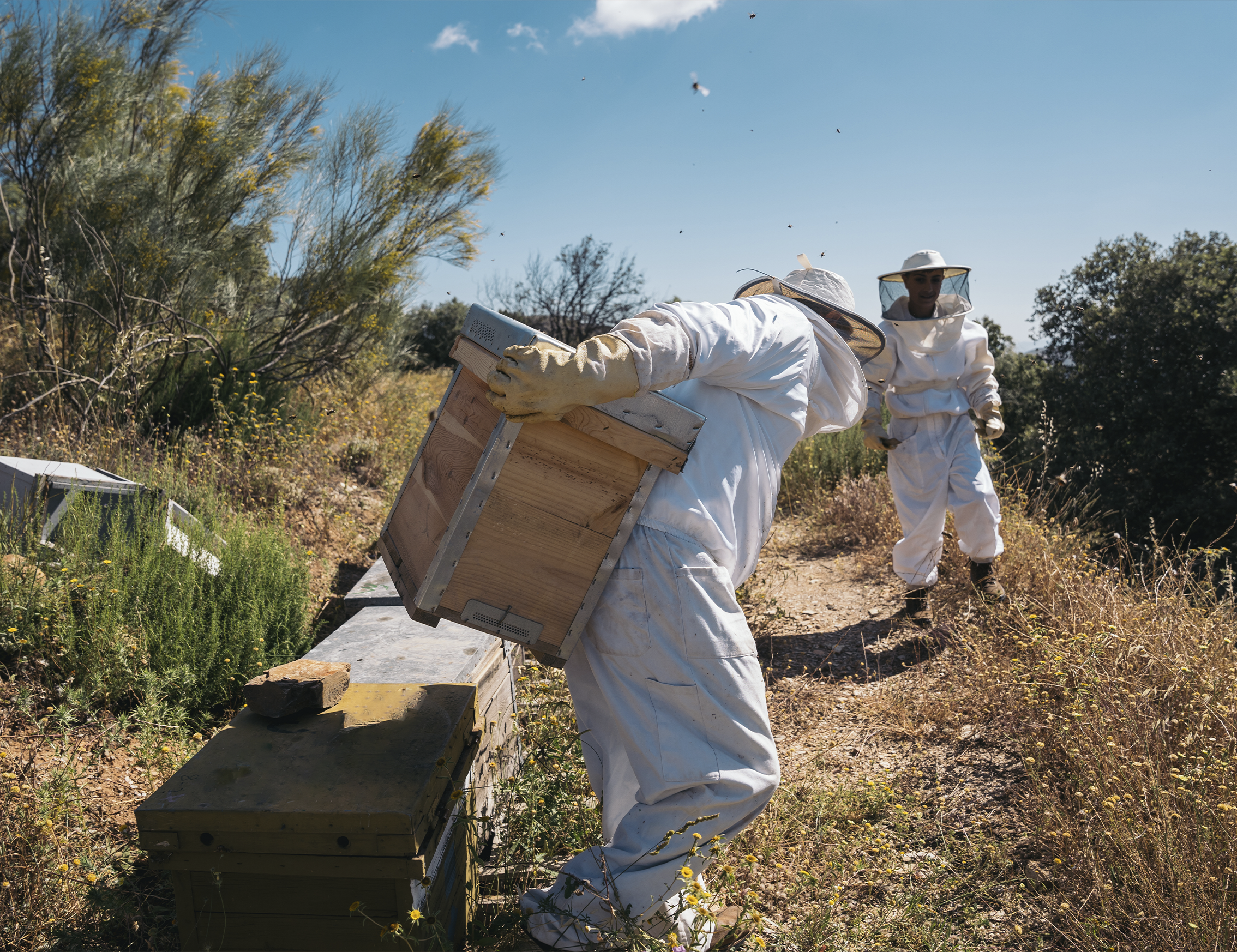 en 23 colmenas respetamos a las abejas y su entorno